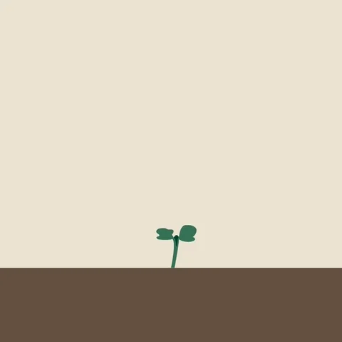 Agriculture Website